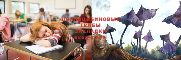 прущий лед Бронницы